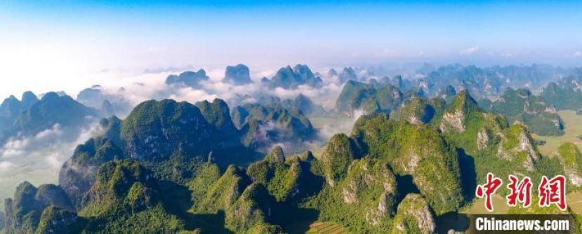 广西弄岗国家级自然保护区。