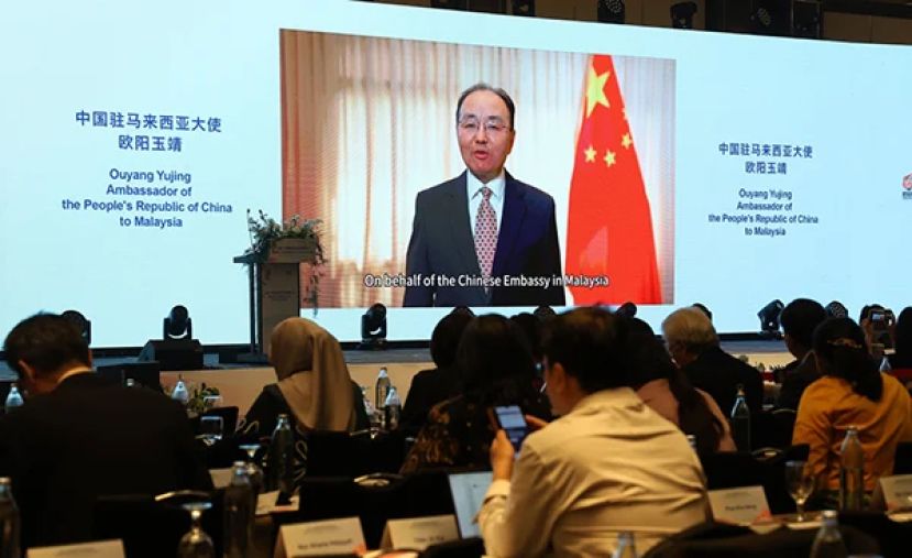 欧阳玉靖以视频方式在中国-东盟媒体智库高端论坛发言。
