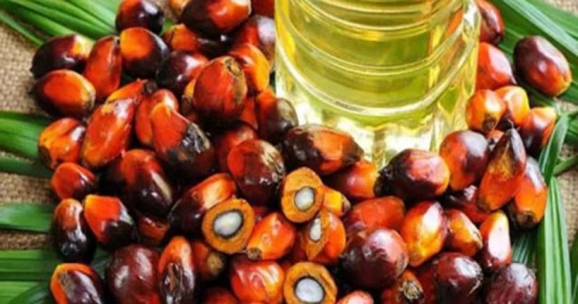 希盟在开倒车  启发学生思维，应是取代“填鸭式”教育的大方向！