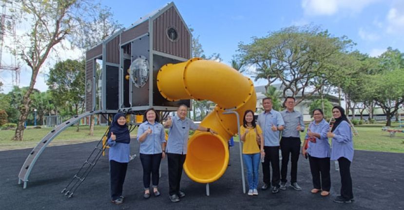 朋岭路南市休闲公园提升工程竣工