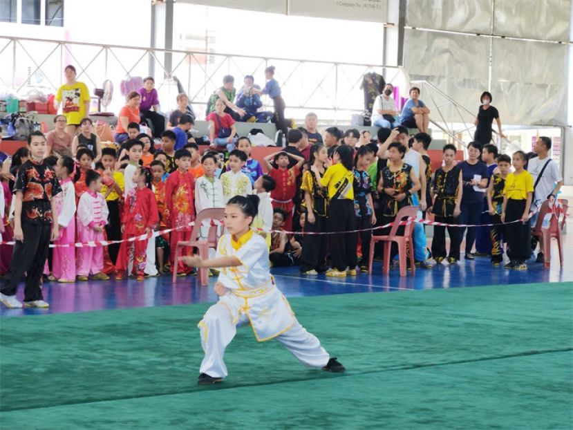 武术锦标赛 （学生：陈翌仝）。