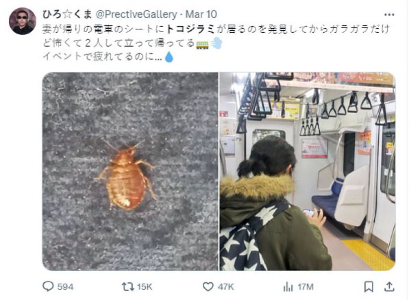 据日本民众指出，电车内开始出现臭虫。
