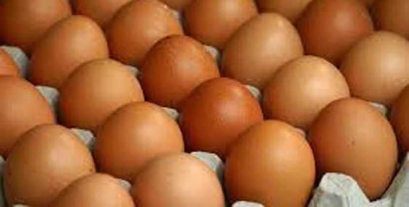 日本鸡蛋批发价创下了历史新高。