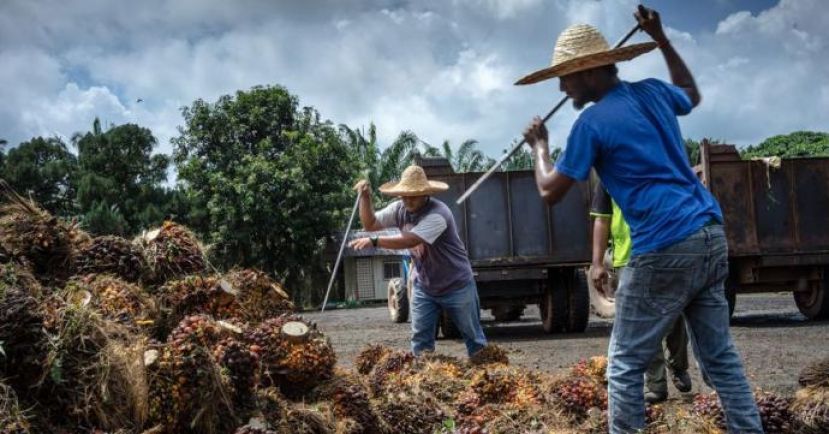 1万名孟加拉籍外劳分批抵马