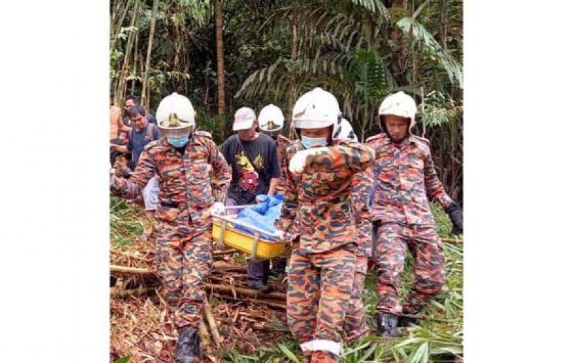 男子被大树压死，消拯人员将遗体抬出丛林。
