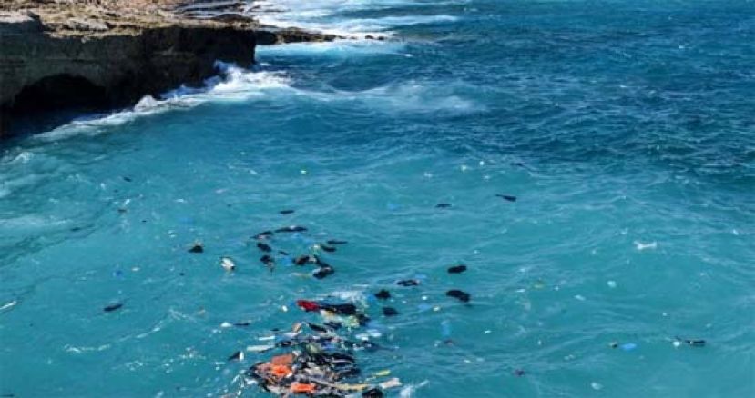 图为其中一艘沉没的移民船。