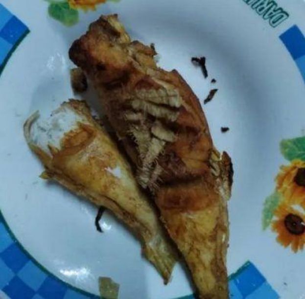 居銮县占美食用河豚中毒入院老翁今日过世