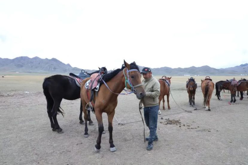 阿衣达别克·比热依正在备马。