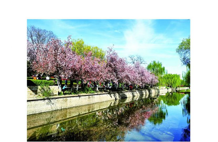 水边赏花是清明节的习俗。