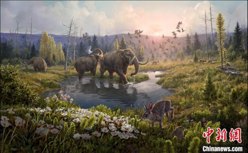 利用古代环境DNA绘制出格陵兰北部约200万年前生态系统的样貌。