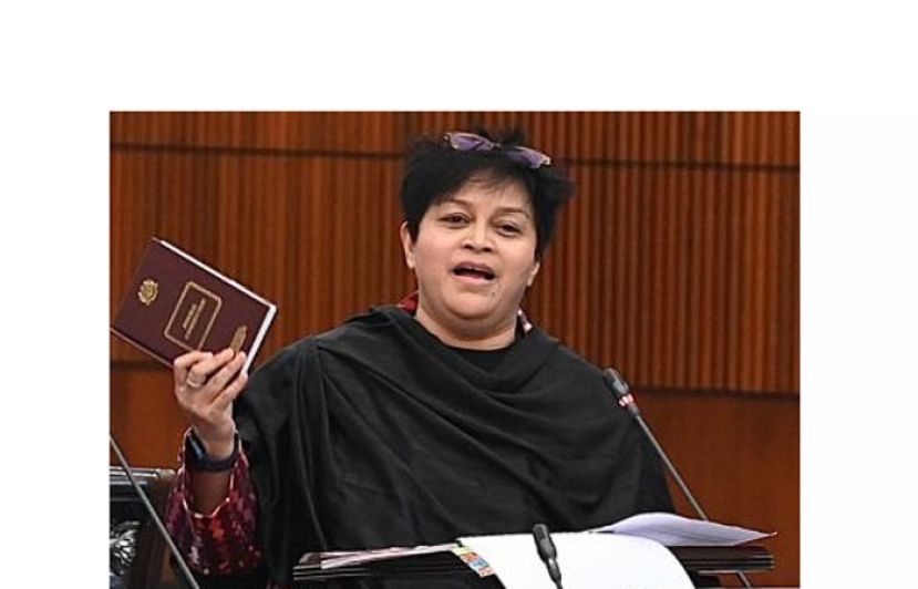 拿督斯里阿莎丽娜。