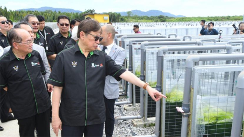 砂总理：砂拉越产出世界首种用藻类研发的航空燃料