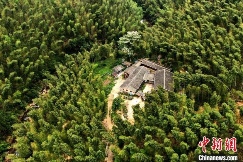 福建龙栖山原始密林，西山纸工坊默默坐守在一片竹海之中。