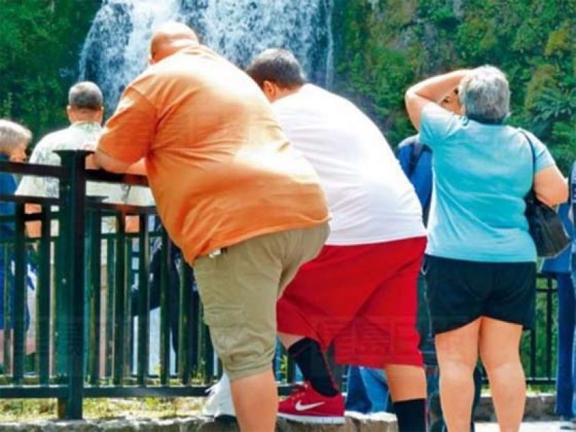 2060年全球3/4成人超重或肥胖。