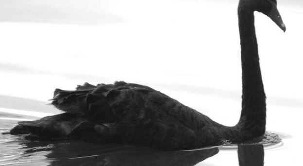 9大黑天鹅预警，2024年美股风起云涌。