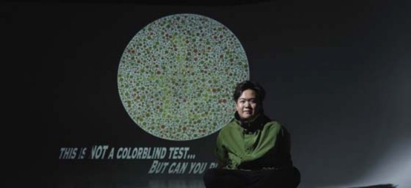 平时的色盲测试，是&ldquo;看不到图就有某程度的色盲或色弱&rdquo;，而世界上只得有12分1人能看到这反色盲图上的数字，那表示，你有点色盲或色弱。
