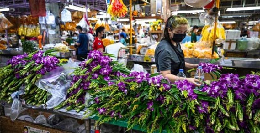 泰国10月29日进入冷季。