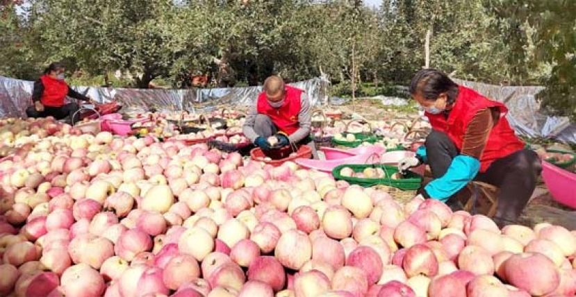 中方：美西方炒作涉疆问题，借人权问题破坏中国稳定。