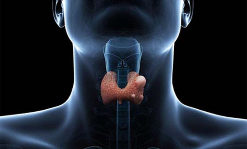 微创术切甲状腺肿瘤　不怕声音变唐老鸭