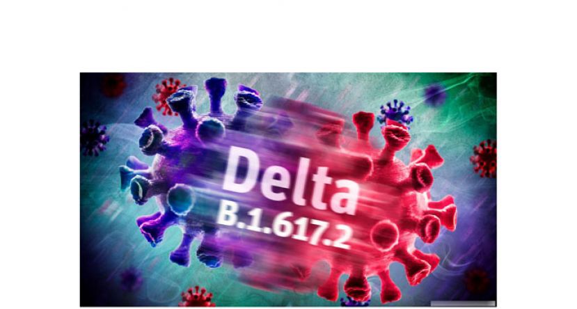 诺希山：大马再发现48宗Delta变种病例