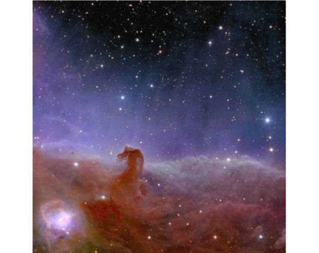 欧几里得太空望远镜所拍下的马头星云。