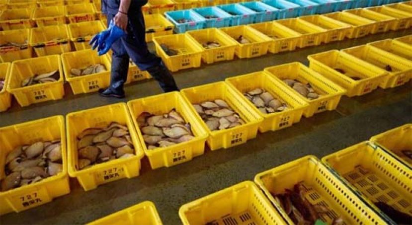 福岛工作人员遭辐射，日本今日仍第三次排污。