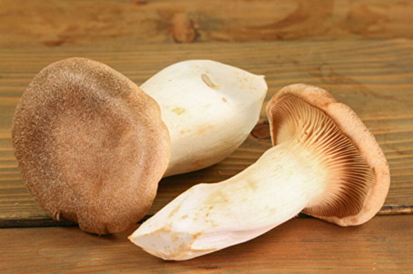 吃对食物心情自然好 九种食物对抗抑郁症