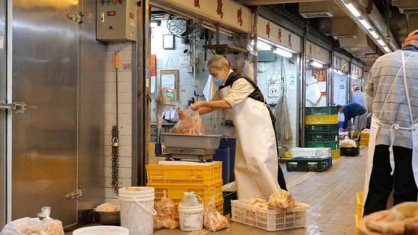 Ivan形容今年72岁的爸爸王柏荣（图）是工作狂，每天早上一定会到鸡档帮手选鸡。