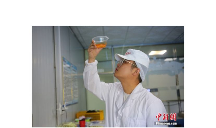 试辣师正在对一批新生产的袋装螺蛳粉中的辣油包进行口味测试，在试吃之前试辣师先观看辣油的色泽和外观。