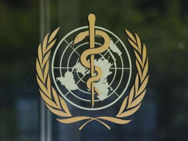 世卫：一艘游轮爆发汉坦病毒疫情，已致3人死亡。