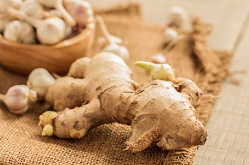 食物发芽能吃吗？有的有毒有的更营养