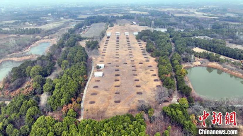 熊家冢主冢及殉葬墓。