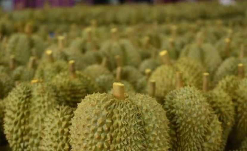 泰上半年出口额 同比增17.6%。