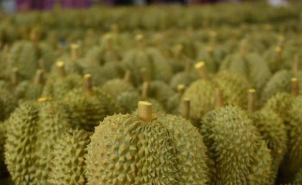 泰上半年出口额 同比增17.6%。
