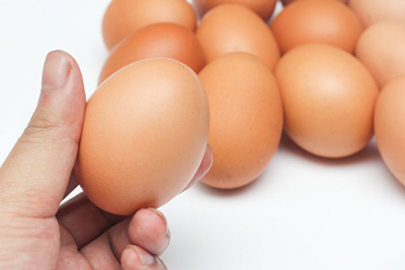 鸡蛋可以保存多久？ 一杯水测新不新鲜