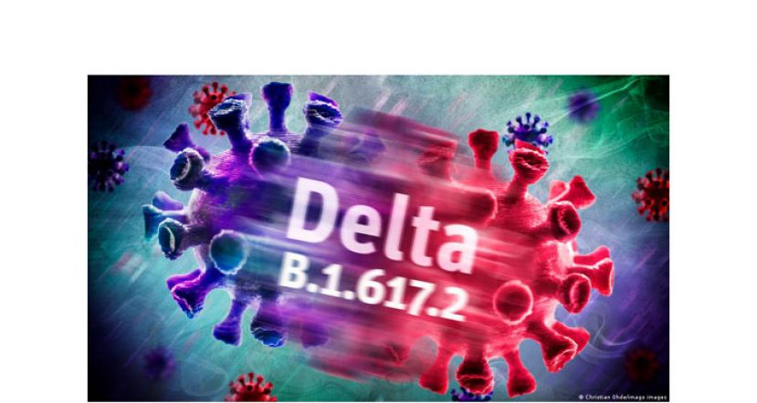 诺希山：大马再发现103宗Delta变种病毒