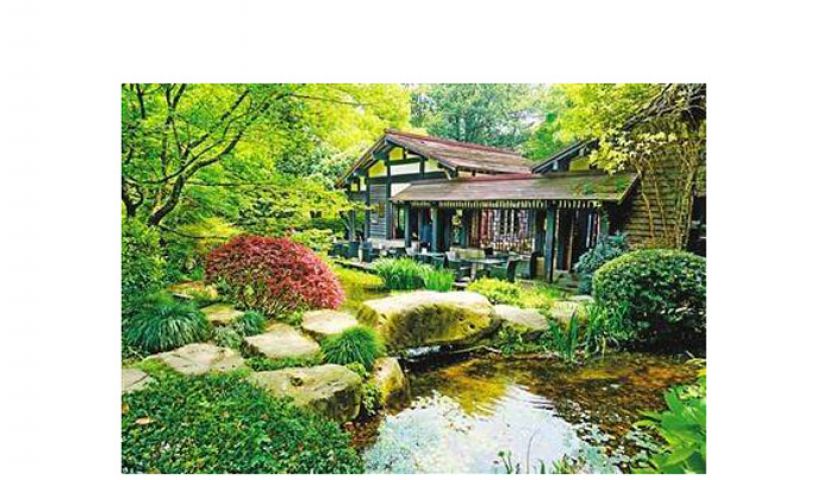 中国茶叶博物馆双峰馆区水景与茶座。