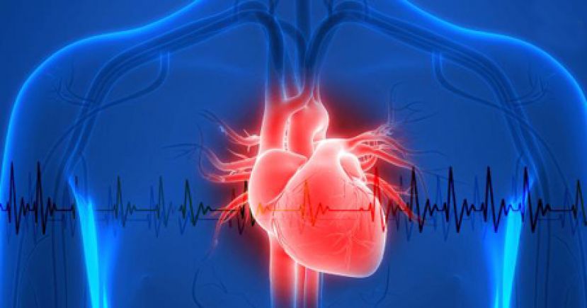 心律不整不用&ldquo;烧&rdquo;的　冷冻消融导管新选择！