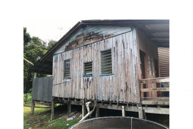 林慧英：东马最多　全马830残旧学校