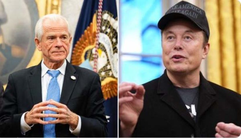 ●马斯克痛批纳瓦洛愚蠢。