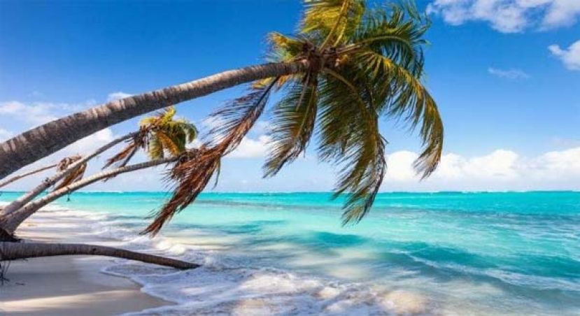 &ldquo;AI热&rdquo;让安圭拉&ldquo;.ai&rdquo;域名 去年赚1.37亿.