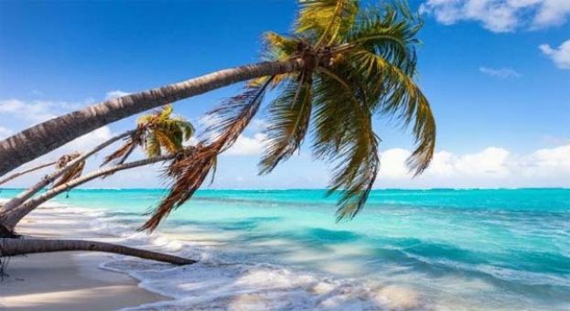 &ldquo;AI热&rdquo;让安圭拉&ldquo;.ai&rdquo;域名 去年赚1.37亿.