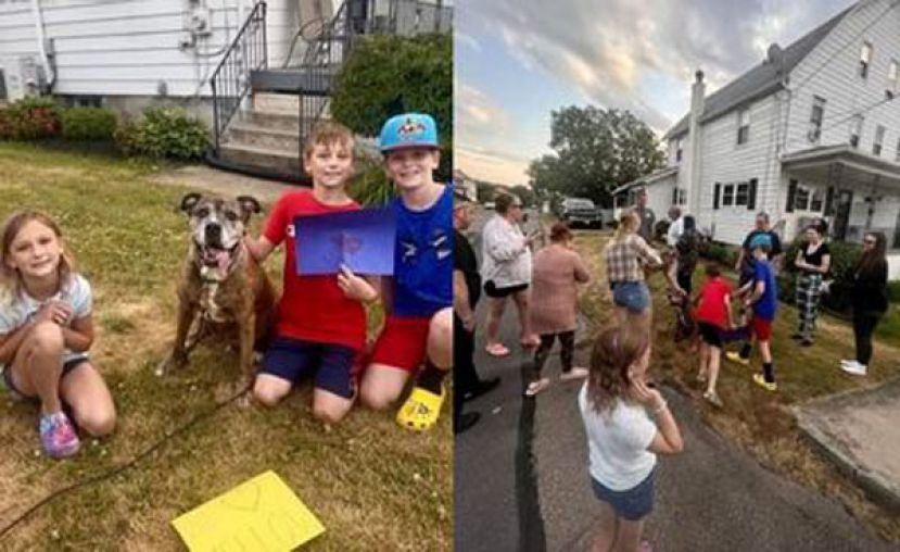 饲主发传单邀街坊邻居道别　癌末搜救犬迎最后散步