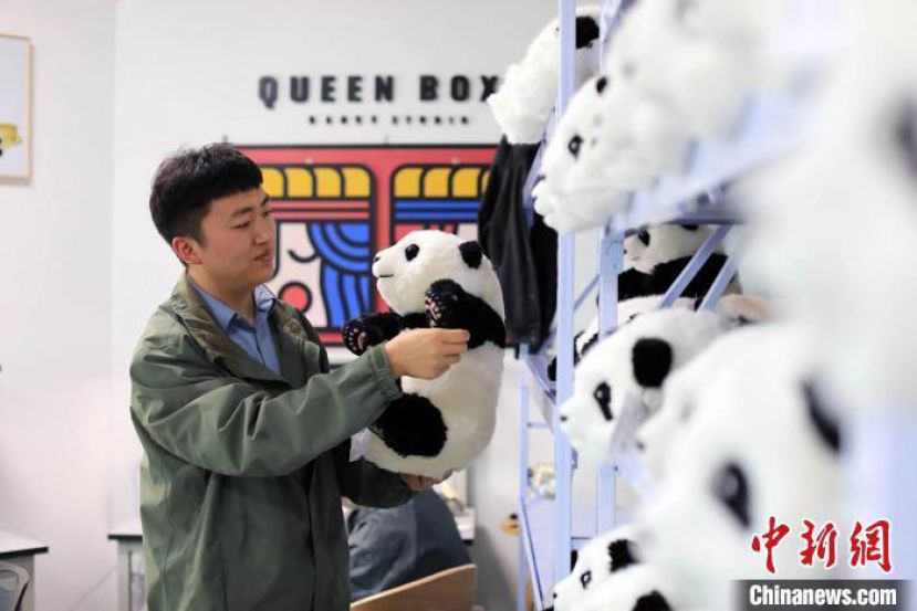 成都小伙打造大熊猫玩偶品牌。