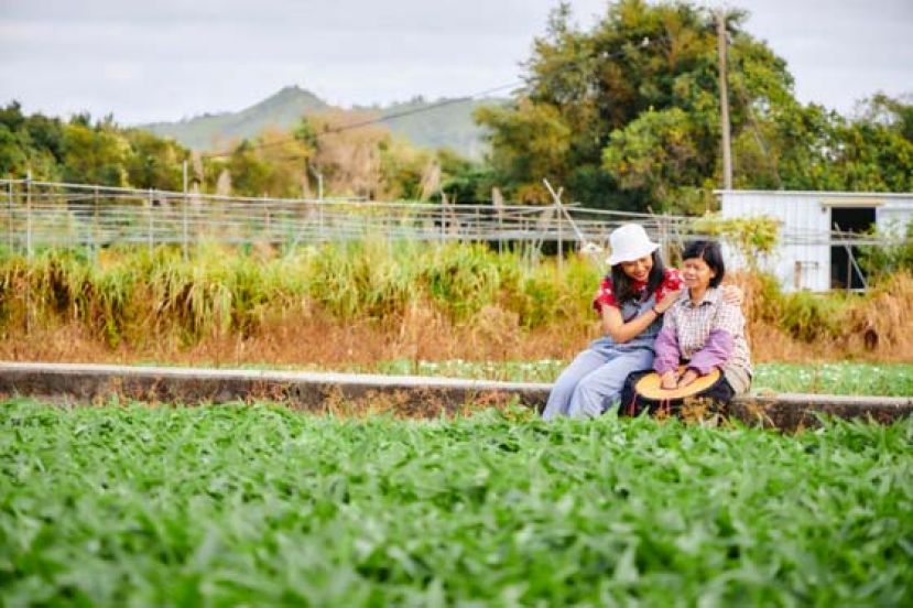 每当说到农田的未来不明朗，平日笑容满面的珍姐都会很难过。