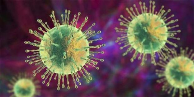 新冠变异毒株JN.1来袭，全球12国现踪迹邻国也有。