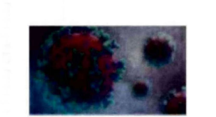 《新冠肺炎》大马新增3926确诊4病逝