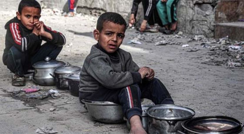 联合国：动物饲料也吃，加沙一半人口陷饥饿。