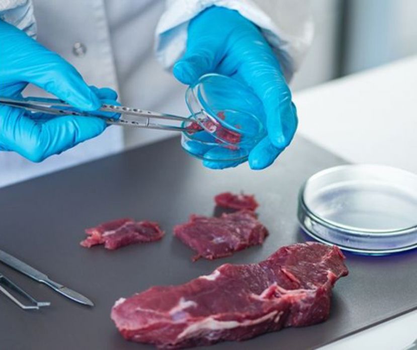 沙门氏杆菌人畜共通 预防请这样做！