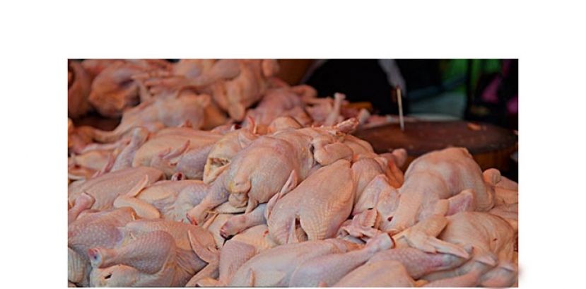 贸消部长：砂鸡肉供应充足　可出口西马应急